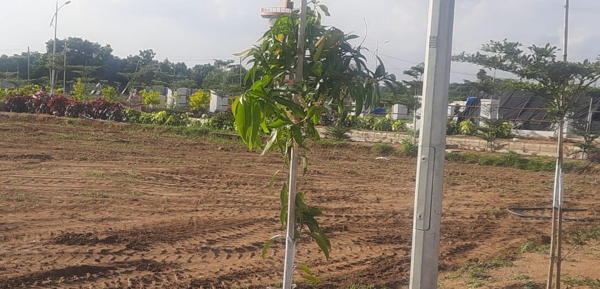 Open plots in Gollur Muchinthal near Shamshabad – 9701498367