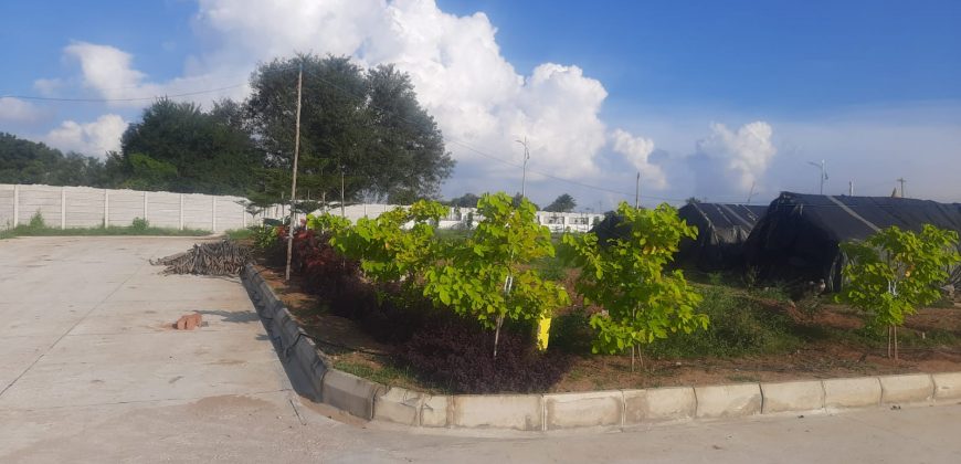 Vasudaika henley woods | Open plots in Gollur Muchinthal | Gated villa plots in Hyderabad Bangalore highway