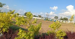 HMDA Approved plots for sale In Gollur – muchintal – shamshabad – Maheshwaram – Bangalore Highway – 8500204047