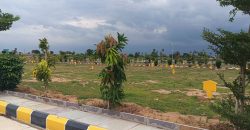 Vasudaika henley woods – 9701498367