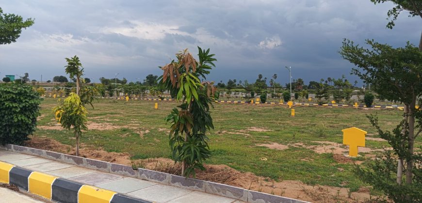 Vasudaika henley woods – 9701498367