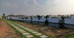 Vasudaika henley woods – 9701498367