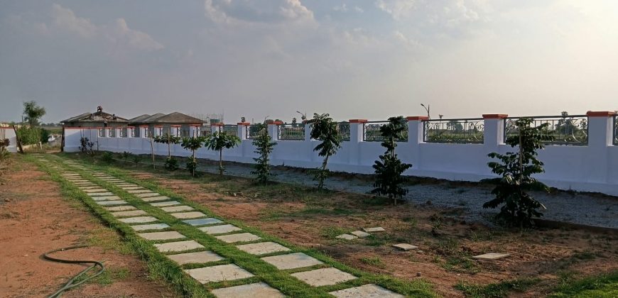 Vasudaika henley woods – 9701498367