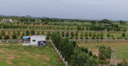 Pharma Green City – DTCP & RERA Approved Open Plots